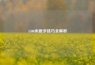 1500米跑步技巧全解析