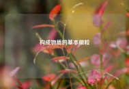 构成物质的基本微粒