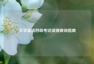 大学英语四级考试成绩查询指南