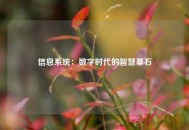信息系统：数字时代的智慧基石