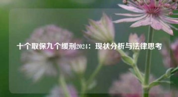 十个取保九个缓刑2024：现状分析与法律思考