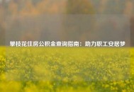 攀枝花住房公积金查询指南：助力职工安居梦