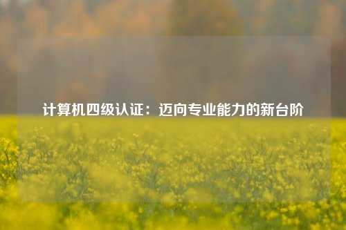 计算机四级认证：迈向专业能力的新台阶