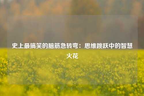 史上最搞笑的脑筋急转弯：思维跳跃中的智慧火花