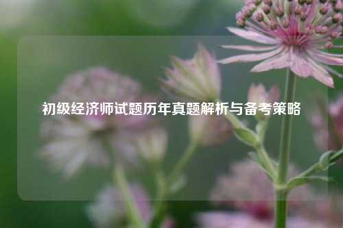 初级经济师试题历年真题解析与备考策略